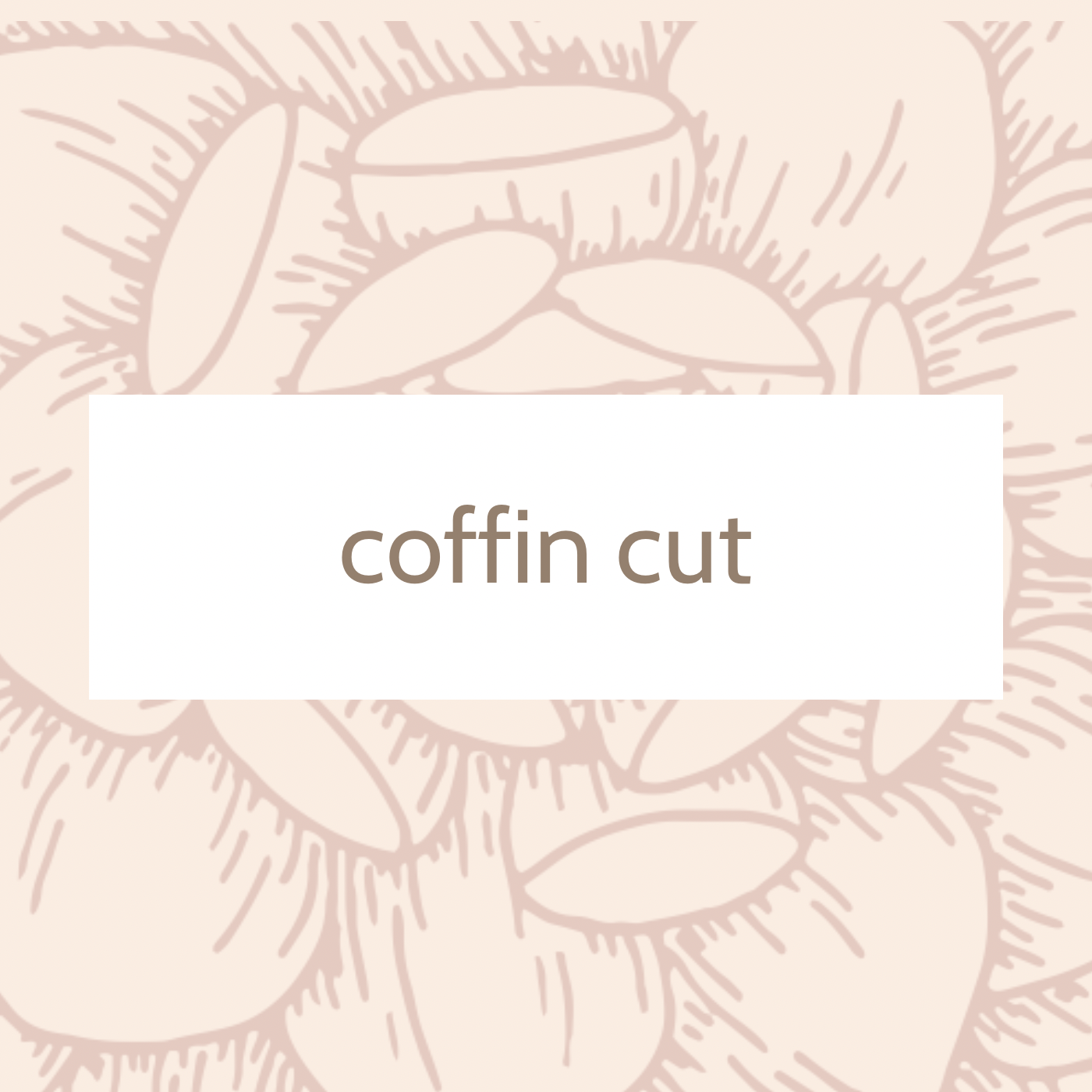 Coffin Cut